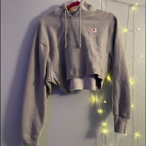 champion cropped hoodie